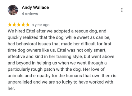 We hired Ettel after we adopted a rescue dog, and quickly realized that the dog, while sweet as can be, had behavioral issues that made her difficult for first time dog owners like us. Ettel was not only smart, effective and kind in her training style, but went above and beyond in helping us when we went through a particularly rough patch with the dog. Her love of animals and empathy for the humans that own them is unparalleled and we are so lucky to have worked with her.