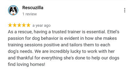 As a rescue, having a trusted trainer is essential. Ettel's passion for dog behavior is evident in how she makes training sessions positive and tailors them to each dog's needs. We are incredibly lucky to work with her and thankful for everything she's done to help our dogs find loving homes!
