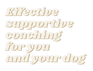 Effective supportive coaching for you and your dog
