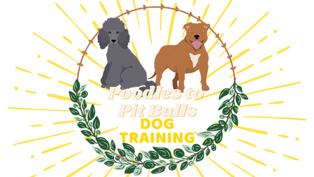 Poodles to Pit Bulls Dog Training